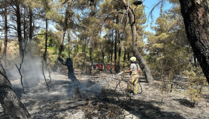Çanakkale'deki yangına İzmir'den destek