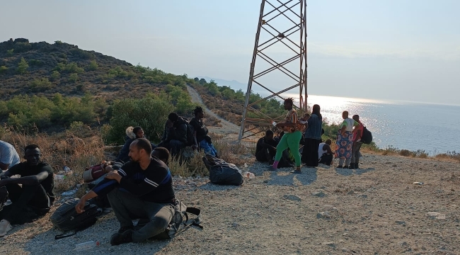Foça'da Ormanlık Alanda 62 düzensiz göçmen yakalandı