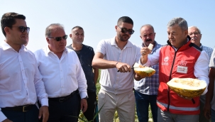 Gerenköy'de Tarımın Bereketi: Kavun Hasat Şenliği