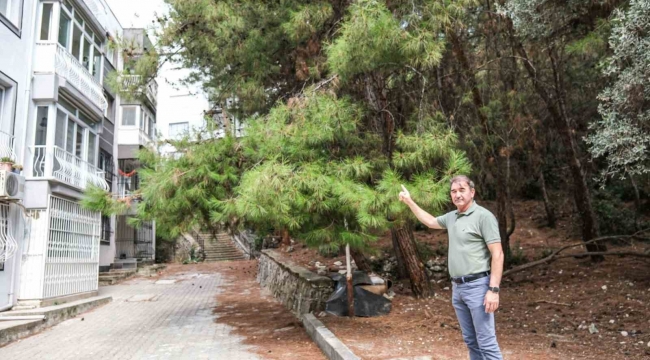 İzmir'de bir mahalle orman yangını korkusuyla yaşıyor