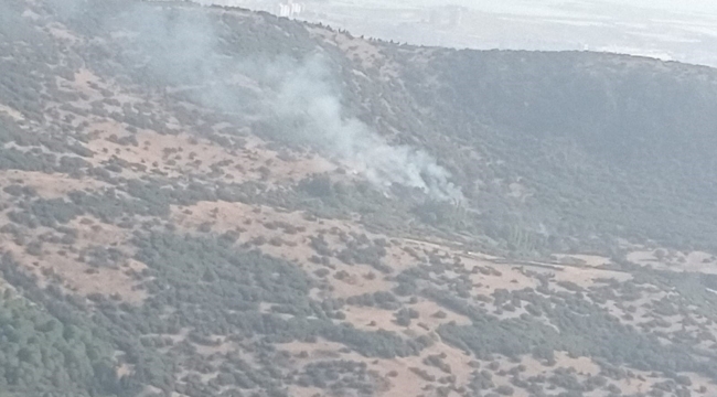 İzmir'de iki ayrı orman yangını kontrol altına alındı