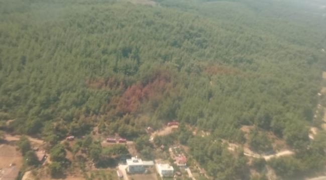 İzmir'de orman yangını büyümeden söndürüldü