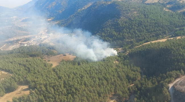 İzmir'de orman yangınına havadan ve karadan müdahale ediliyor