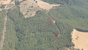 Kınık'da 2 Orman Yangını Yaklaşık Yarım Saat İçerisinde Kontrol Altına Alındı