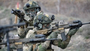 Şehitlerimizin kanı yerde kalmıyor... Komandolardan gri kategoriye bir çizik daha!