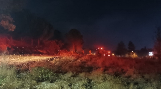 Aliağa'da ormanlık alanda çıkan yangın kısa sürede söndürüldü