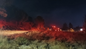 Aliağa'da ormanlık alanda çıkan yangın kısa sürede söndürüldü