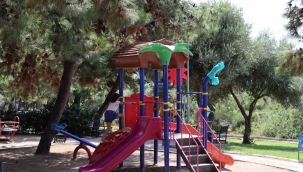 Domuzlardan tedirgin olan site sakini: "Kendimizi güvende hissetmiyoruz"