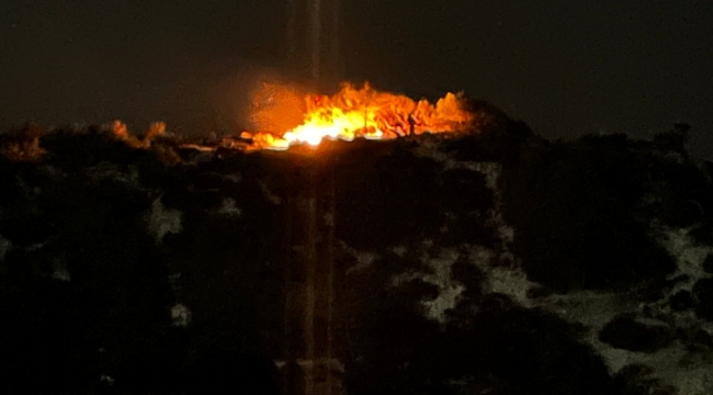 Foça'da Makilik Alanda yangın