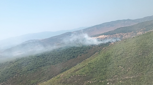 Foça'daki orman yangını kontrol altında