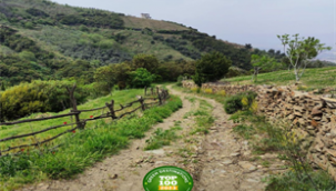 Efeler Yolu, En İyi 100 Hikâye listesinde