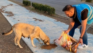 İYİ Parti Aliağa Teşkilatı'ndan Örnek Davranış. Can dostlar unutulmadı
