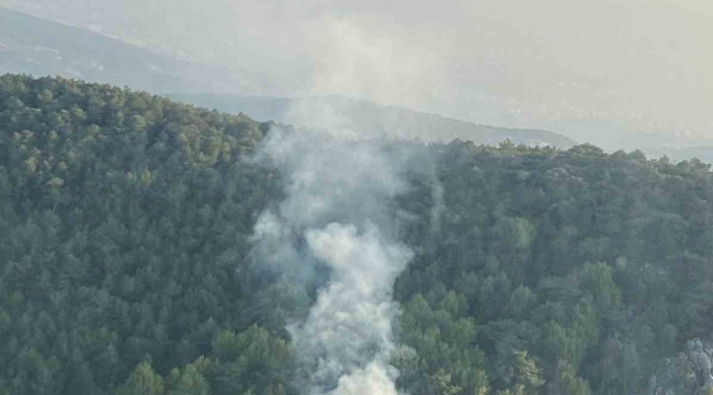 İzmir'de orman yangını: 58 dakikada kontrol altına alındı