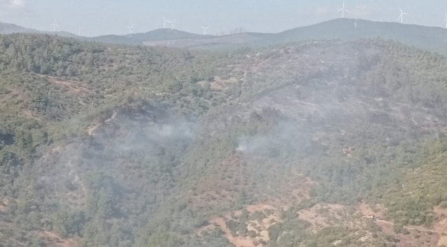 İzmir'deki orman yangını kontrol altında