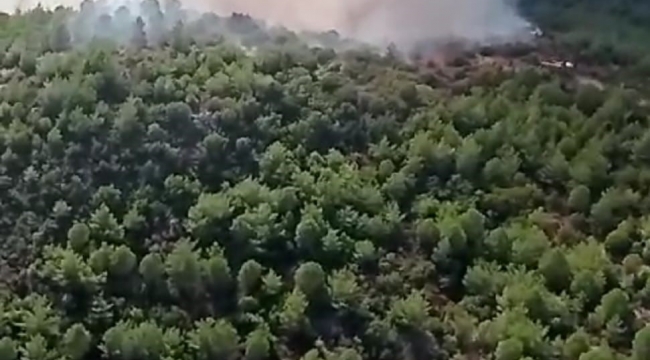 İzmir'deki orman yangınına havadan ve karadan müdahale