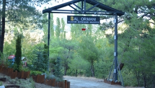 TÜRKİYE'NİN EN BÜYÜK BAL ORMANI KAZDAĞLARI'NDA