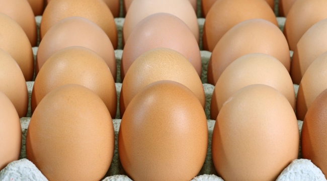Yumurta sadece insanlar için değil, gezegenimiz için de sağlıklı