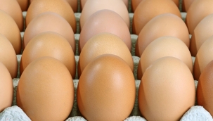 Yumurta sadece insanlar için değil, gezegenimiz için de sağlıklı