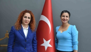 Aliağalı öğrenciler sokak hayvanlarına barınak yaptı