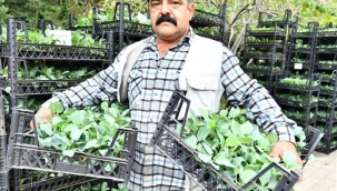 Çiftçi hem üretiyor hem kazanıyor