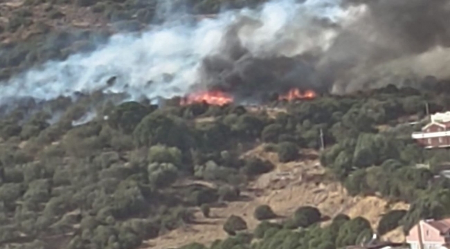 İzmir'de ormanlık alandaki yangın kontrol altında