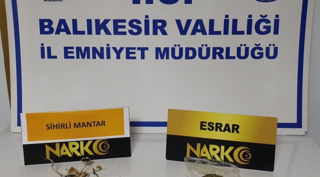 Ayvalık'ta Narkotik Polisinden "Sihirli Mantar" Operasyonu