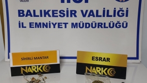 Ayvalık'ta Narkotik Polisinden "Sihirli Mantar" Operasyonu
