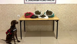 İzmir'de uyuşturucu operasyonu: 3 şüpheli yakalandı