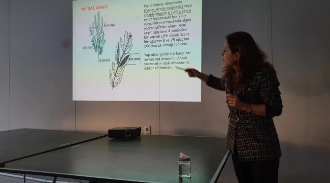 Aliağa'da Zeytin Budama Kursları Devam Ediyor