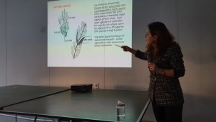Aliağa'da Zeytin Budama Kursları Devam Ediyor