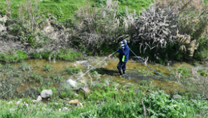 İzmir Büyükşehir Belediyesi ilaçlama çalışmalarına hız verdi
