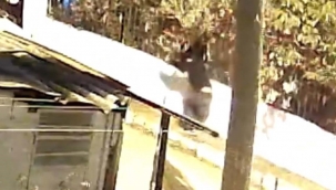 Kiralık araçla cinayet işleyen zanlılara 3 ilde operasyon