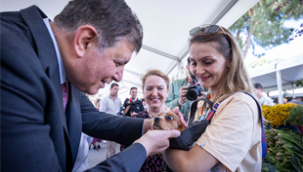 Büyükşehir'de Veteriner İşleri Halk Sağlığı Dairesi Başkanlığı kuruldu