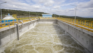 "Keçilerin ölüm nedeni zehirlenme değil"