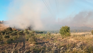 Aliağa Çoraklar Mahallesindeki makilik alanda Yangın