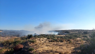 Aliağa'da otluk alanda yangın çıktı