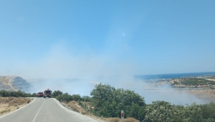 Aliağa'da otluk ve makilik alanda yangın 