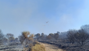  Foçada Yangın 3 Hektarlık Alan Kül Oldu