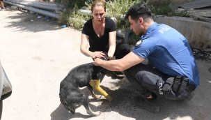 Hayvan barınağı tahliye edildi