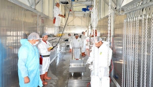 İzmir Büyükşehir Belediyesi güvencesiyle Kurban Bayramı için bağış kampanyası başladı