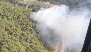 Kemalpaşa'da orman yangını