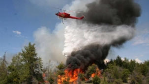 Orman yangınlarına karşı 'suç' ve 'ceza'lar...!