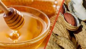 AB'den tescilli ürünümüz 23 oldu