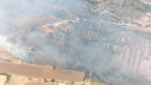 Çeşme ve Urla''da orman yangını