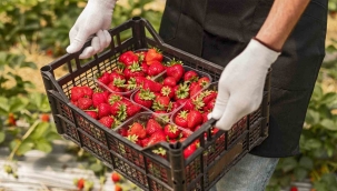 EİB'den Haziran ayında 1 milyar 329 milyon dolarlık ihracat