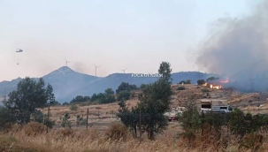 Foçadaki Orman Yangını Kontrol Altına Alındı