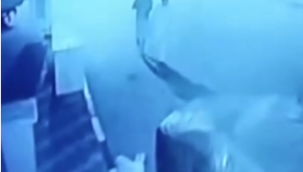 İzmir'de köpeğe sopalarla saldıran baba oğul adli kontrol şartıyla serbest!