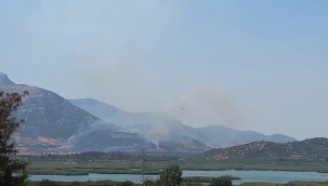 Selçuk'taki orman yangınına havadan ve karadan müdahale