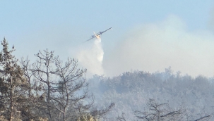 Urla'da orman yangını