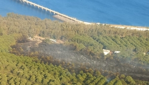 Aliağa da çıkan orman yangını kontrol altında